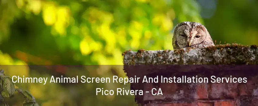 Chimney Animal Screen Repair And Installation Services Pico Rivera - CA