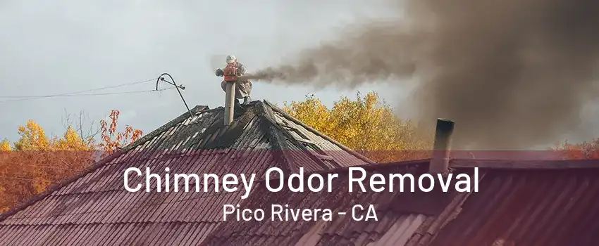 Chimney Odor Removal Pico Rivera - CA