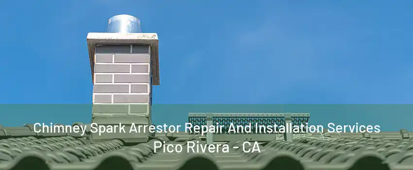 Chimney Spark Arrestor Repair And Installation Services Pico Rivera - CA