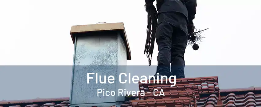 Flue Cleaning Pico Rivera - CA