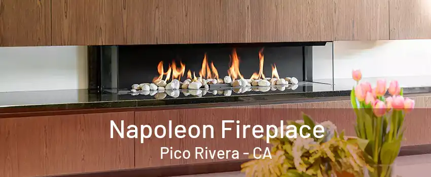 Napoleon Fireplace Pico Rivera - CA